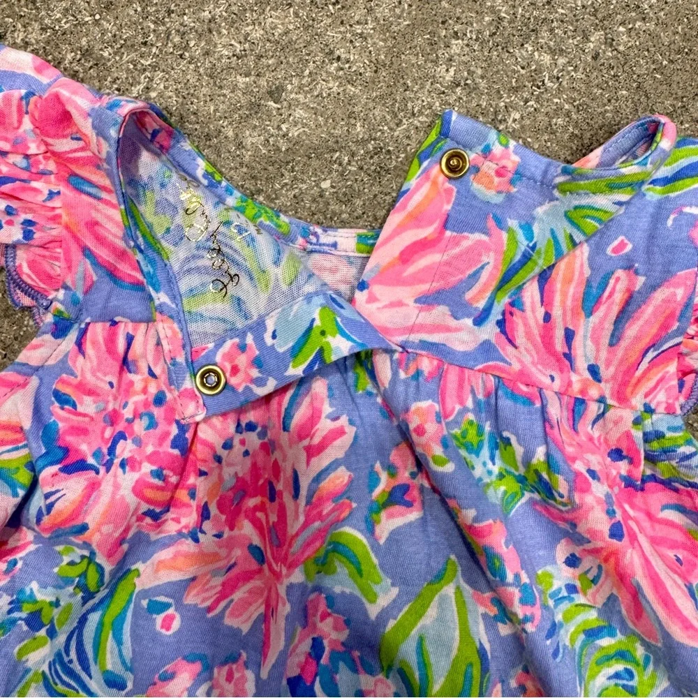 NWT! Lilly Pulitzer Cecily baby dress - Picture 3 of 3